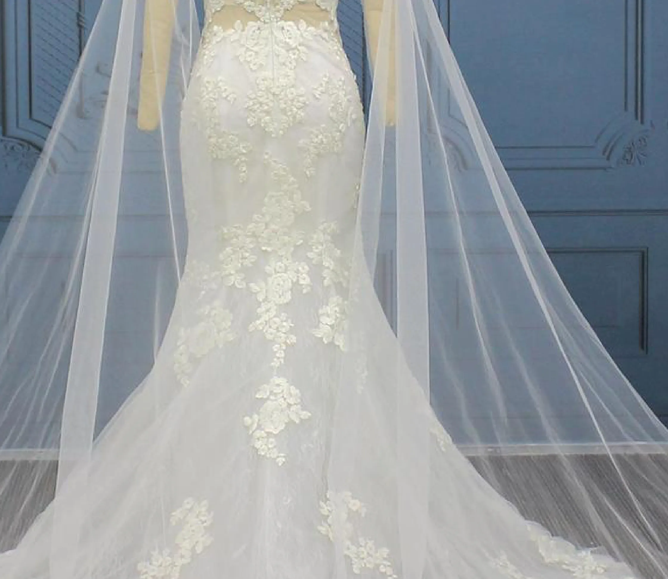 Detached Tulle Lace Bridal Cape  Mermaid Wedding Dress