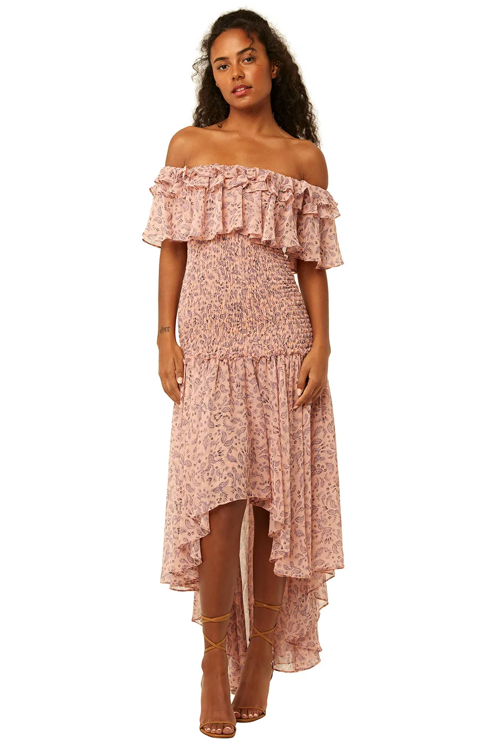 Misa - Giada Dress in Rose Paisley