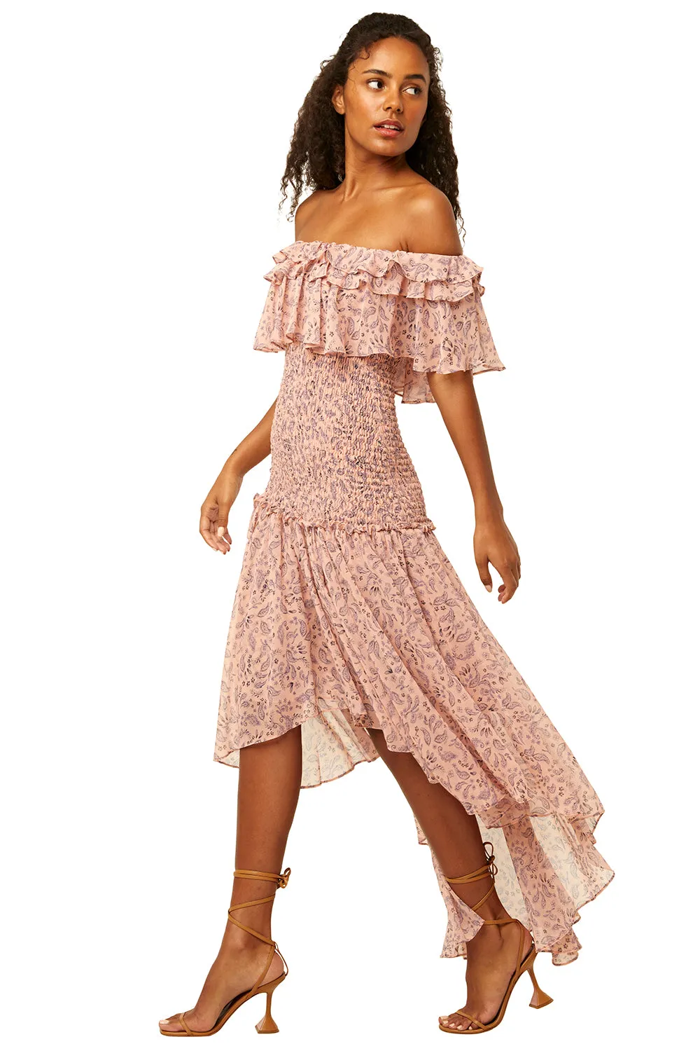 Misa - Giada Dress in Rose Paisley