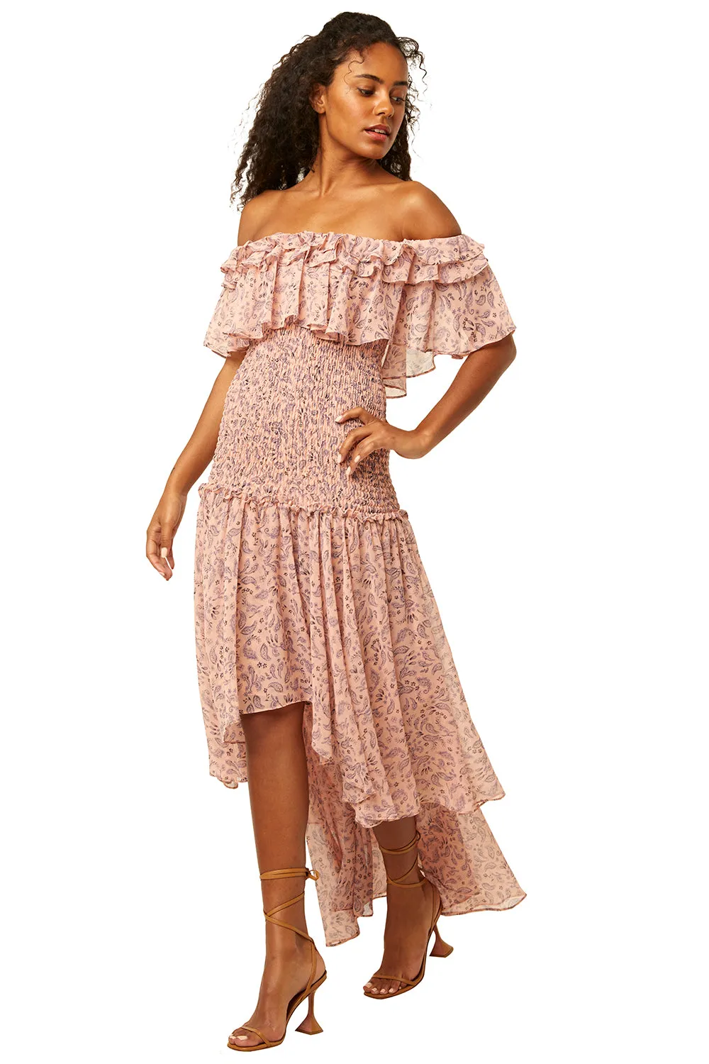 Misa - Giada Dress in Rose Paisley