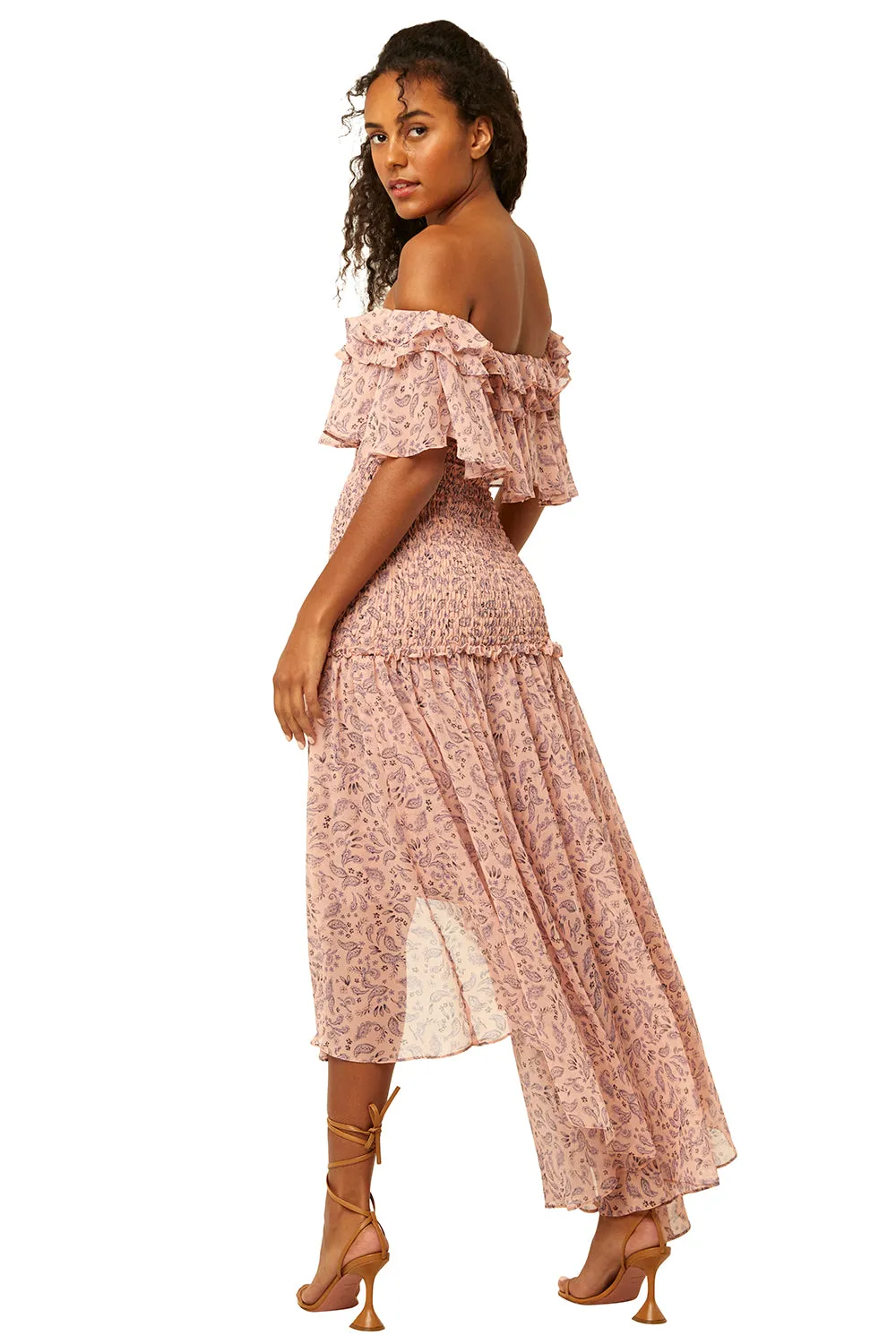 Misa - Giada Dress in Rose Paisley